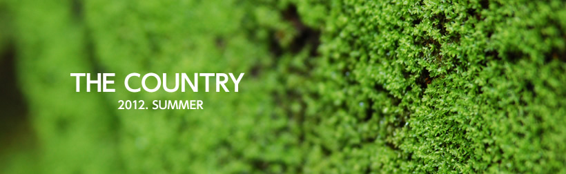 THECOUNTRY 2012.SUMMER