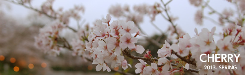 CHERRY 2013.SPRING